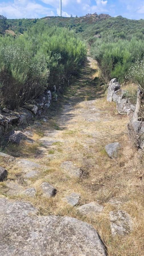 Casinhas Da Eira Caramulo Turismo Rural Arca Luaran gambar