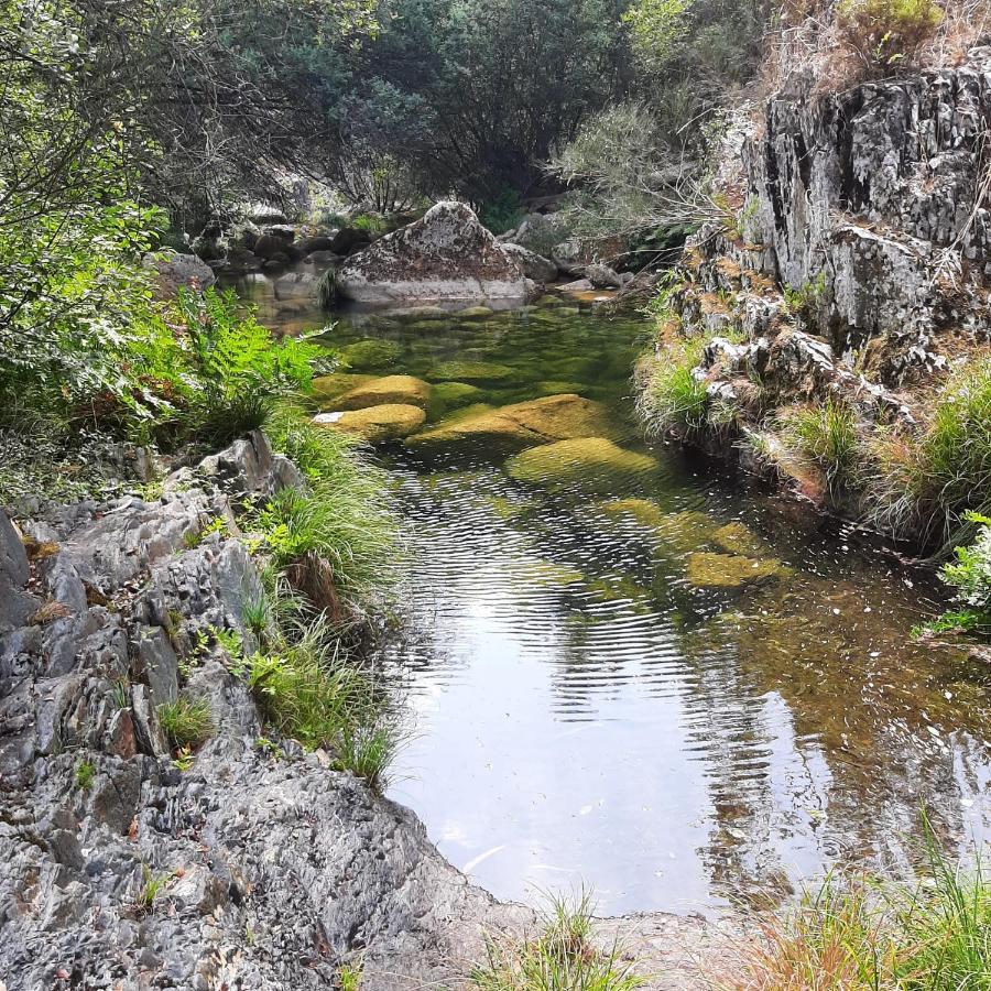 Casinhas Da Eira Caramulo Turismo Rural Arca Luaran gambar